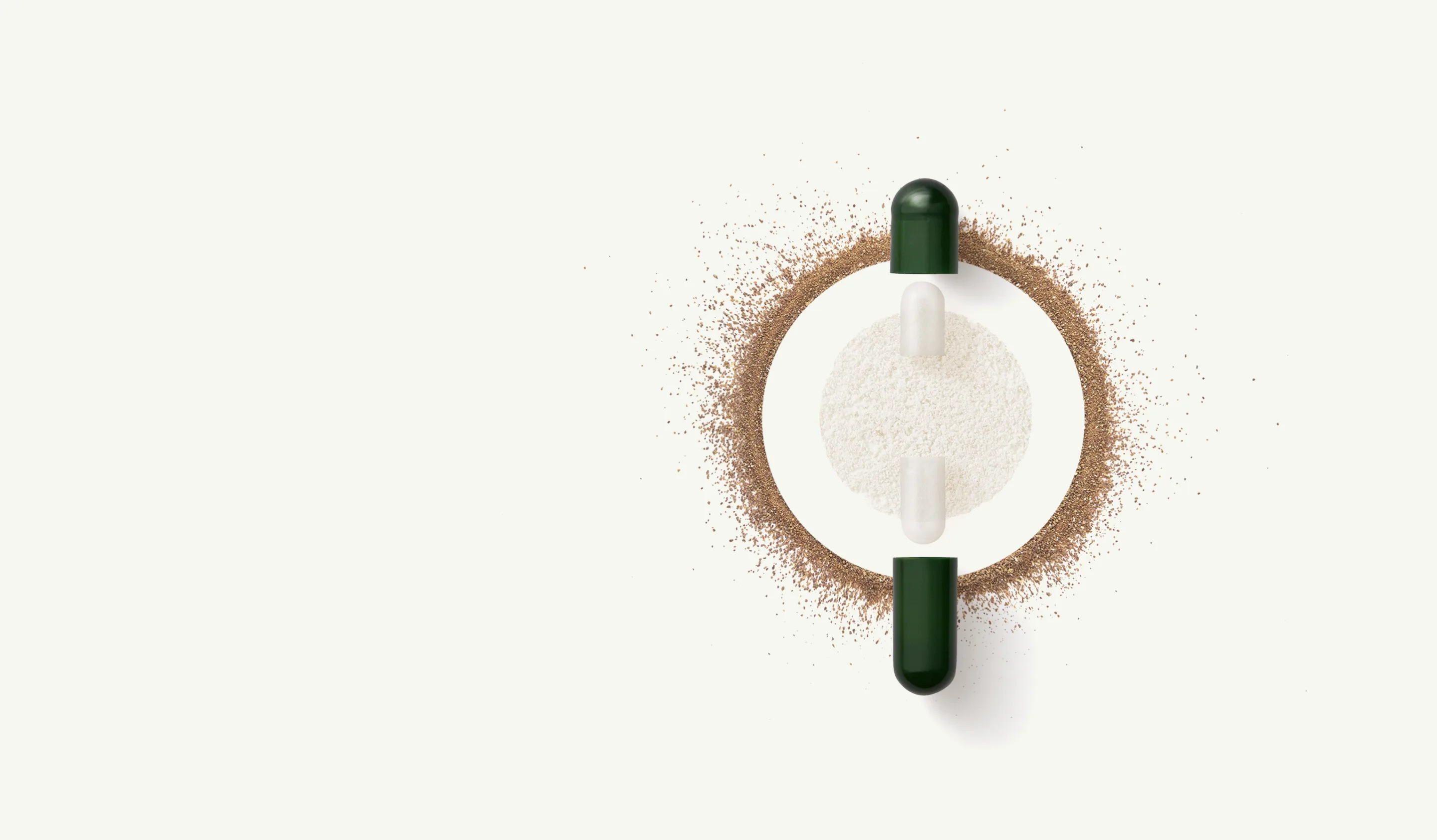 Seed