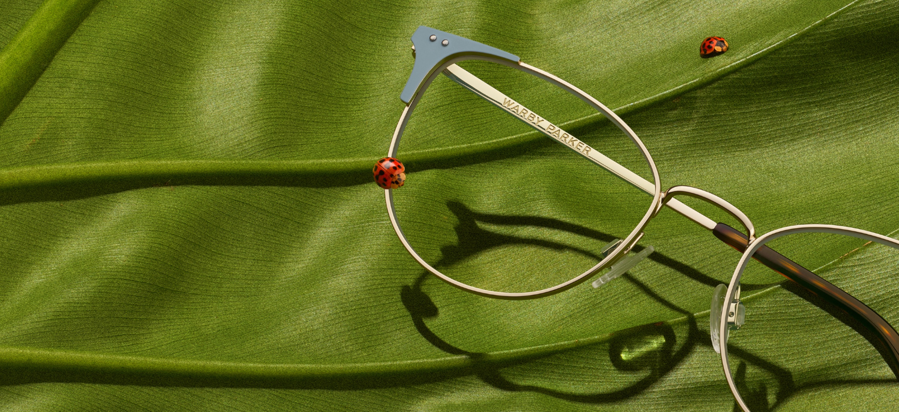 Warby Parker product